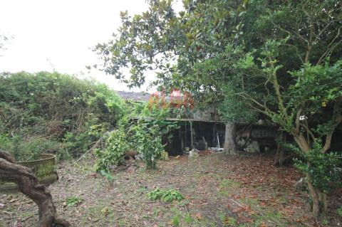 Finca