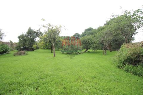 Finca