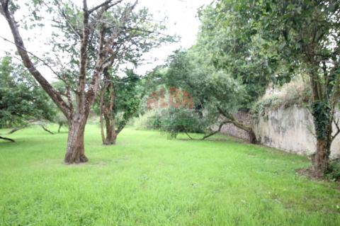 Finca