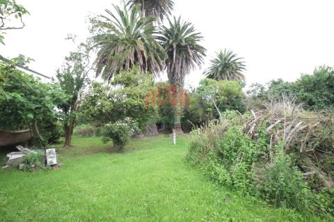 Finca