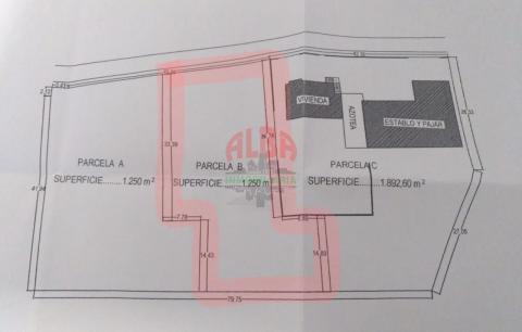 Plano